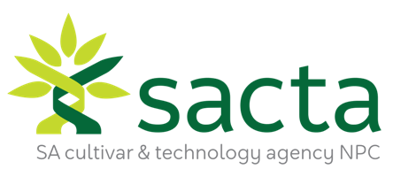 logo icon